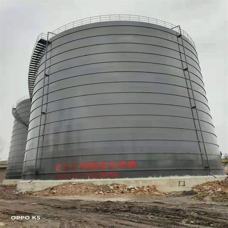 肇东3万吨大型钢板库