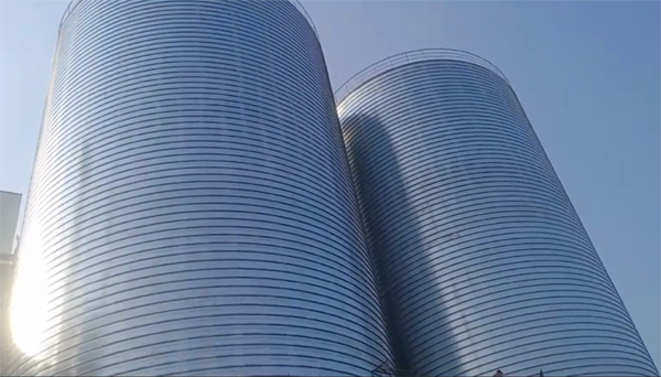 肇东2座混凝土高架卷板仓